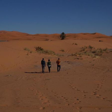 Bivouac Camel Trips Otel Merzouga Dış mekan fotoğraf