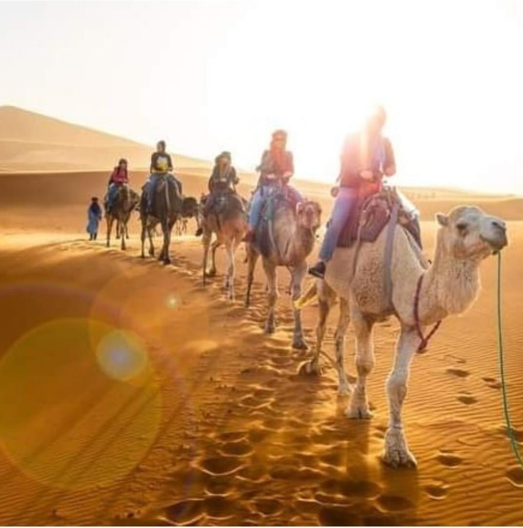 Bivouac Camel Trips Otel Merzouga Dış mekan fotoğraf