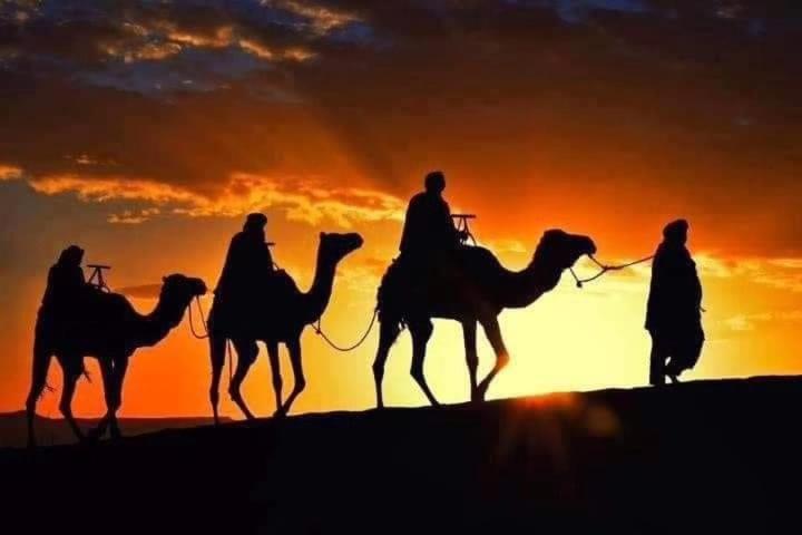 Bivouac Camel Trips Otel Merzouga Dış mekan fotoğraf