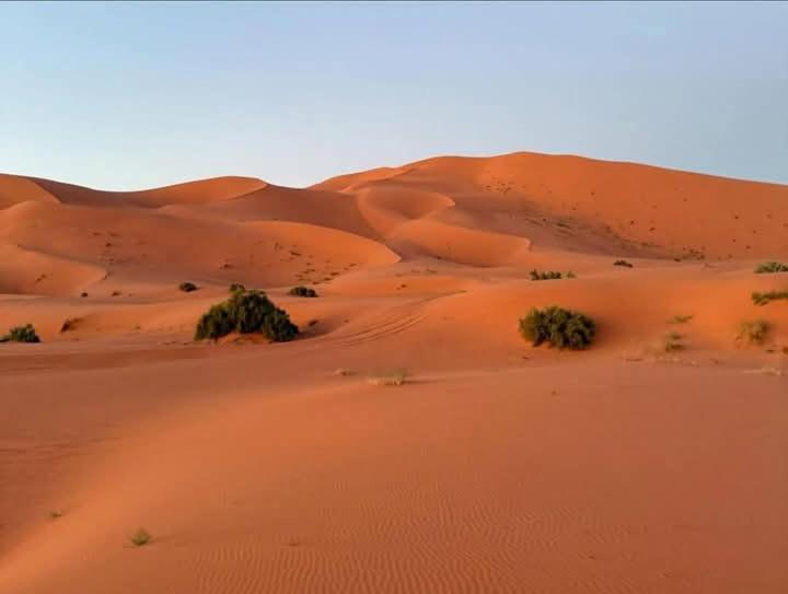 Bivouac Camel Trips Otel Merzouga Dış mekan fotoğraf