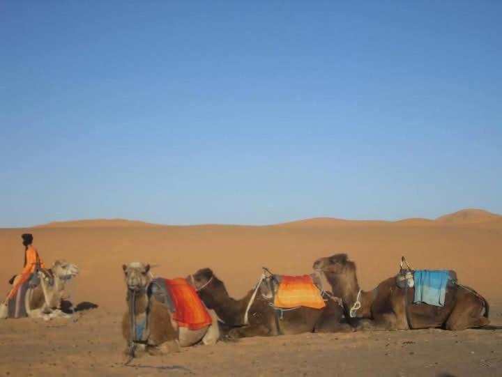 Bivouac Camel Trips Otel Merzouga Dış mekan fotoğraf