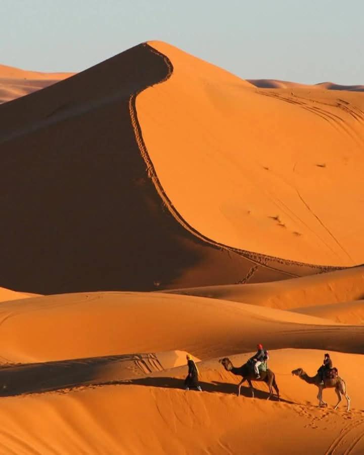 Bivouac Camel Trips Otel Merzouga Dış mekan fotoğraf